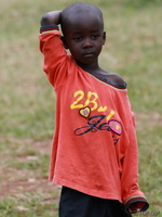 view--scratch head Kisumu, Jinja, East Africa, Kenya, Uganda, Africa