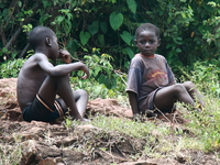 chat Jinja, East Africa, Uganda, Africa