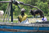 coalman Kisumu, East Africa, Kenya, Africa