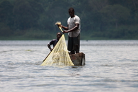 catch of the day Jinja, East Africa, Uganda, Africa