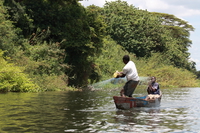 nile fishing Jinja, East Africa, Uganda, Africa