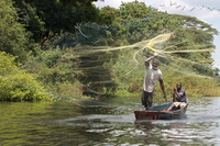 view--nile net casting Jinja, East Africa, Uganda, Africa