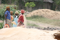 rice shell handling Mwanza, East Africa, Tanzania, Africa