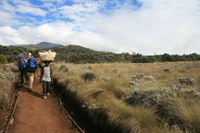porters Kilimanjaro, East Africa, Tanzania, Africa