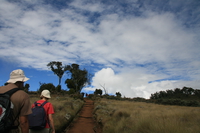 hikers Kilimanjaro, East Africa, Tanzania, Africa