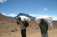 porters Kilimanjaro, East Africa, Tanzania, Africa