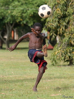 view--kick off Bugala Island, East Africa, Uganda, Africa