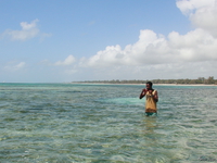 view--star fish man Diani Beach, East Africa, Kenya, Africa