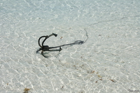 view--anchor Diani Beach, East Africa, Kenya, Africa