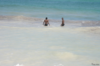 view--wave surfer Diani Beach, East Africa, Kenya, Africa