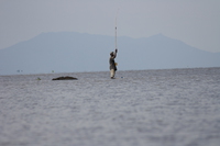 fishing in lake victoria Kisumu, East Africa, Kenya, Africa