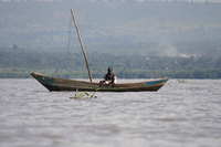 old fisherman Kisumu, East Africa, Kenya, Africa