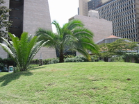august 7th memorial park Nairobi, East Africa, Kenya, Africa