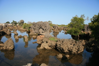 snoopy rock Shimoni, East Africa, Kenya, Africa