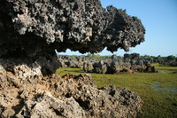 monster rock Shimoni, East Africa, Kenya, Africa