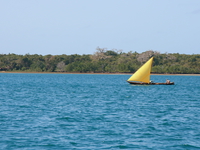 shimoni_beach