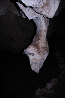 stalactite Shimoni, East Africa, Kenya, Africa