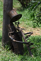 samuka musician Jinja, East Africa, Uganda, Africa