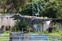 jinja sailing club dinosaur Jinja, East Africa, Uganda, Africa