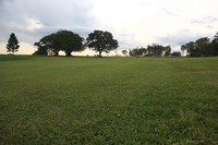 green golf course Jinja, East Africa, Uganda, Africa