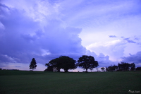 view--twlight golfing Jinja, East Africa, Uganda, Africa