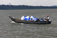 shipping plastic chairs Kampala, Enteppe, Bugala Island, East Africa, Uganda, Africa