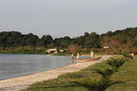 paradise beach Kampala, Enteppe, Bugala Island, East Africa, Uganda, Africa