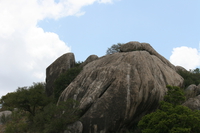 ling king rock Serengeti, Ngorongoro, East Africa, Tanzania, Africa