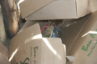 071003154029_bird_in_boxes