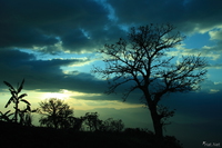 view--emerald light Rawangi, East Africa, Tanzania, Africa