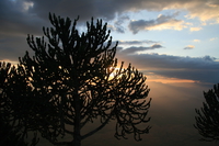 night approaching Rawangi, East Africa, Tanzania, Africa