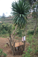 flag of spirit Mtae, East Africa, Tanzania, Africa