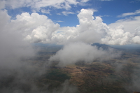 irenet point in mist Mtae, Ushoto, East Africa, Tanzania, Africa