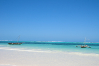 twin boats Zanzibar, East Africa, Tanzania, Africa