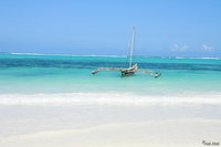 view--seafaring canoe Zanzibar, East Africa, Tanzania, Africa