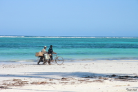 view--good friends Zanzibar, East Africa, Tanzania, Africa