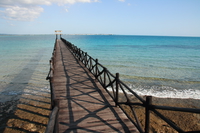 pier walkway Arusha, Zanzibar, East Africa, Tanzania, Africa