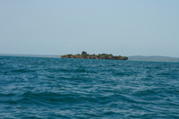 snake island Arusha, Zanzibar, East Africa, Tanzania, Africa