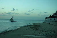 dhow boat Arusha, Zanzibar, East Africa, Tanzania, Africa