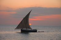 view--dhow boat sunset Arusha, Zanzibar, East Africa, Tanzania, Africa