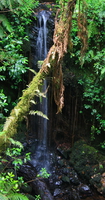 waterfall Moshi, kilimanjaro, East Africa, Tanzania, Africa