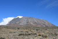 snow of kilimanjaro Kilimanjaro, East Africa, Tanzania, Africa