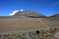 view--snow of kilimanjaro Kilimanjaro, East Africa, Tanzania, Africa