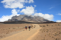 hikers to kibo Kilimanjaro, East Africa, Tanzania, Africa