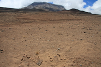 nil my signature on kilimanjaro Kilimanjaro, East Africa, Tanzania, Africa