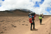 two porters Kilimanjaro, East Africa, Tanzania, Africa