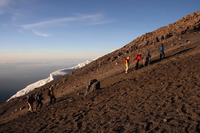 ascending hikers Kilimanjaro, East Africa, Tanzania, Africa