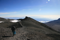 returning trip Kilimanjaro, East Africa, Tanzania, Africa