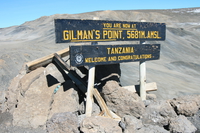 gilmans point Kilimanjaro, East Africa, Tanzania, Africa
