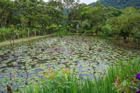 Crying Lake Mudan Township,  Taiwan Province,  Taiwan, Asia